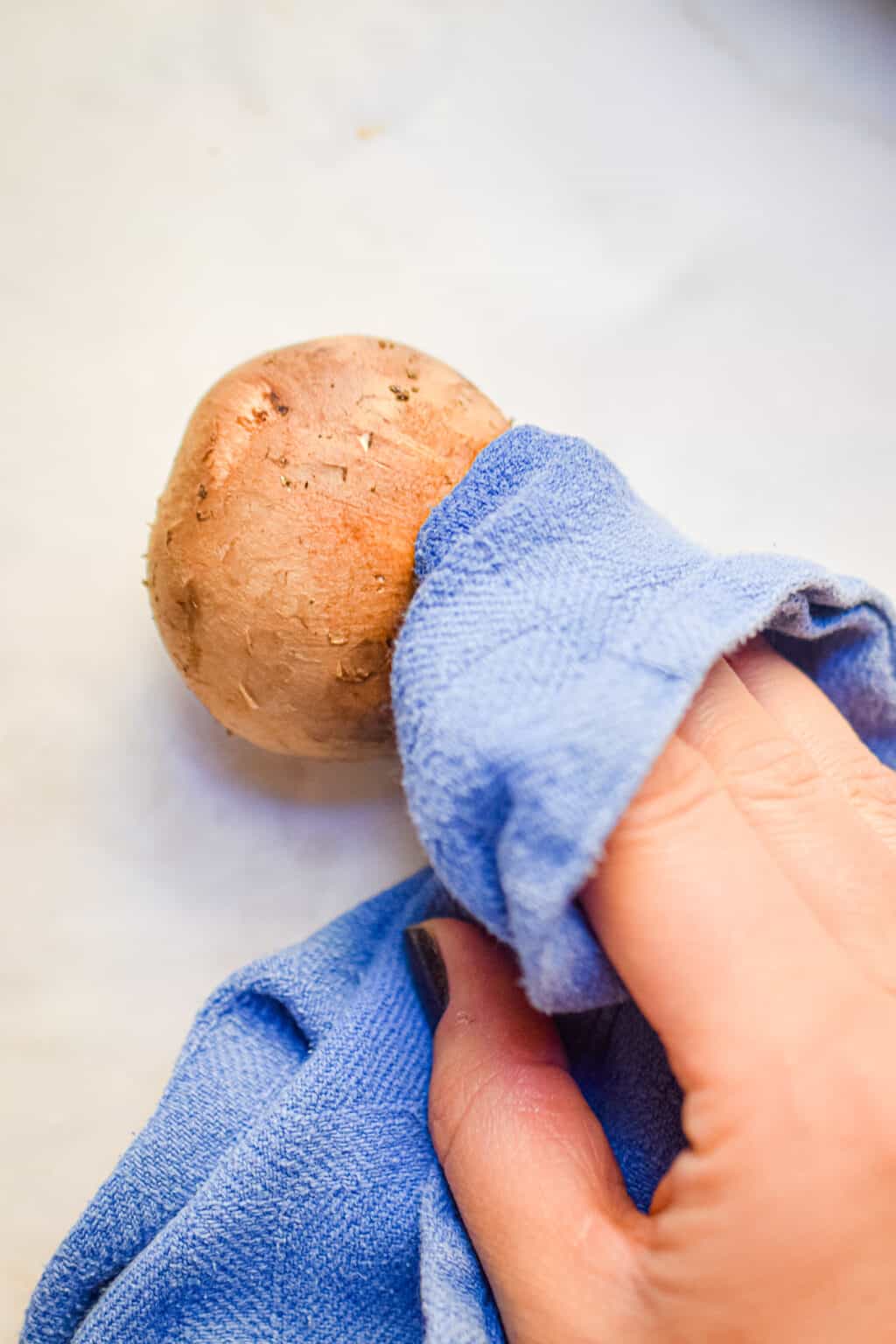 The Best Italian Stuffed Mushrooms - Lynn's Way of Life