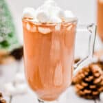 A close up of a mug of hot chocolate
