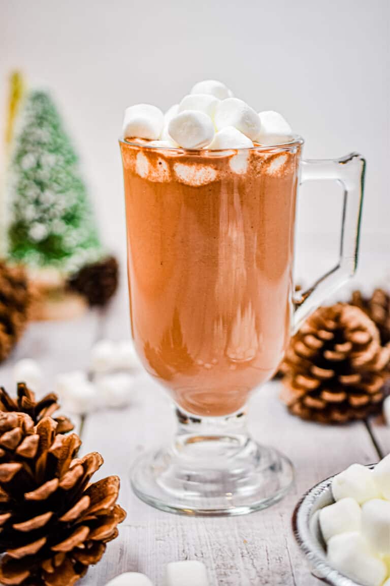 A close up of the instant pot hot chocolate with pine cones around it