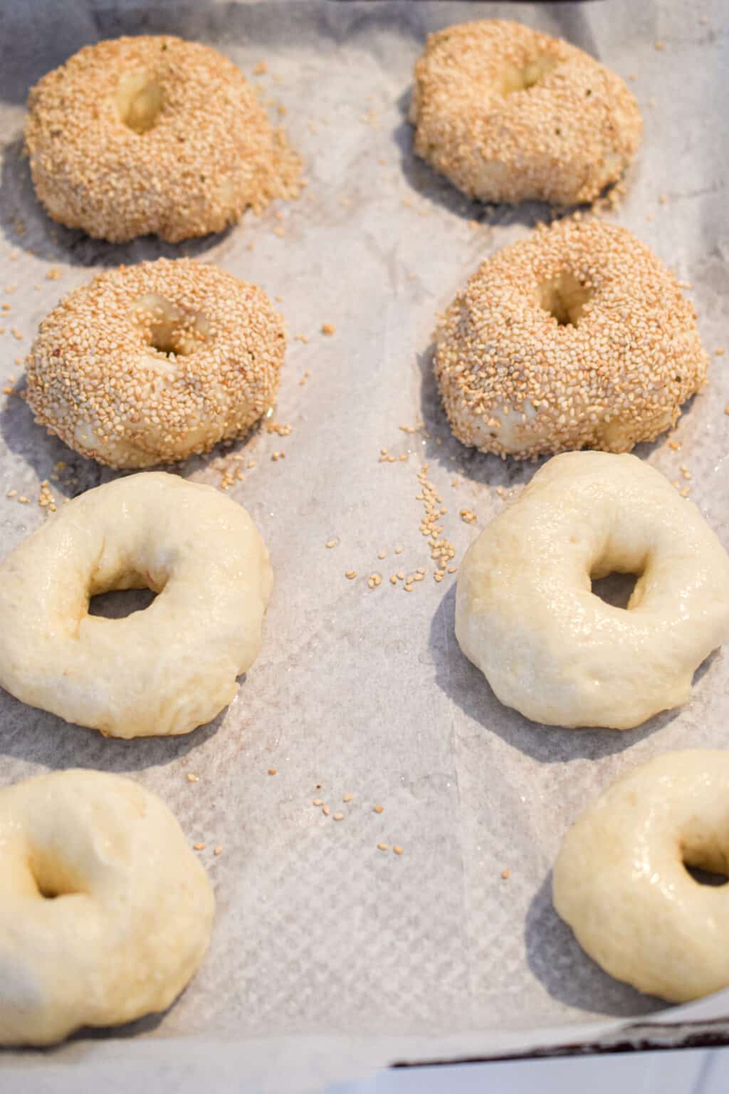 Homemade Instant Pot Bagels (So Easy to Make!) Lynn's Way of Life