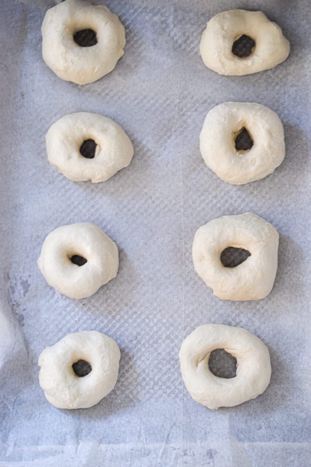 Homemade Instant Pot Bagels (So Easy to Make!) Lynn's Way of Life