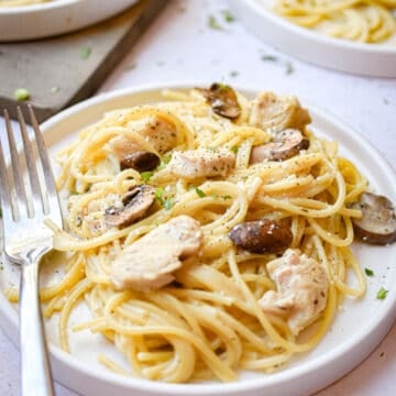 A close up of one of the Instant Pot Chicken Tetrazzini plates