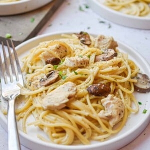 The chicken and mushrooms are surrounding by the spaghetti on a plate of Instant Pot Chicken Tetrazzini.