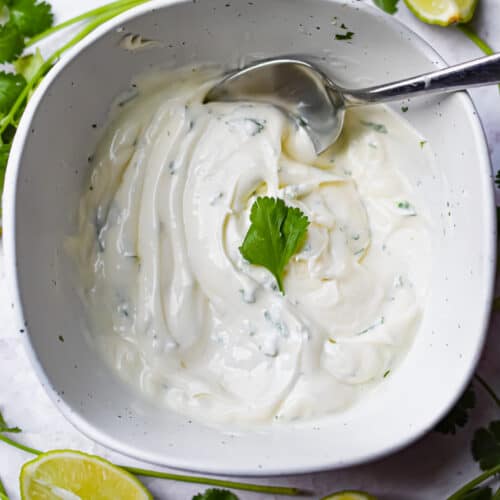 Simple Cilantro Lime Aioli Recipe Lynn's Way of Life