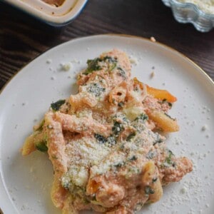 The meatless baked ziti is covered in parmesan cheese on a plate.