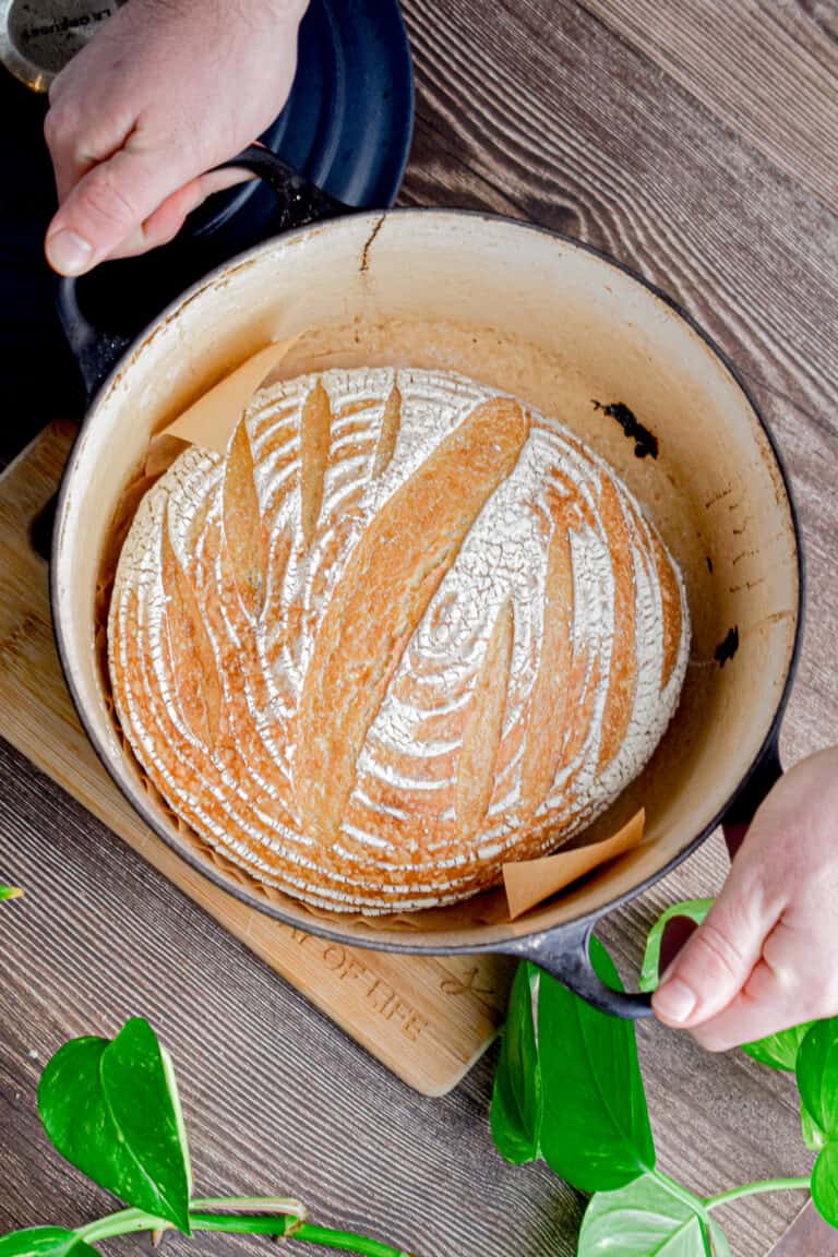 Two hands are holding the Dutch oven.