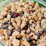 A spoon is just slightly in the bowl of sourdough granola.