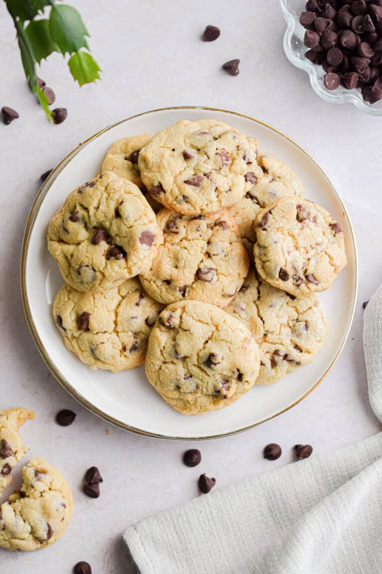 The bisquick chocolate chip cookies are on a white plate with a small green plant next to the plate.