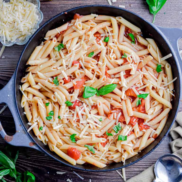 The penne pomodoro is topped with a small piece of basil and surrounded by parmesan cheese and basil leaves.