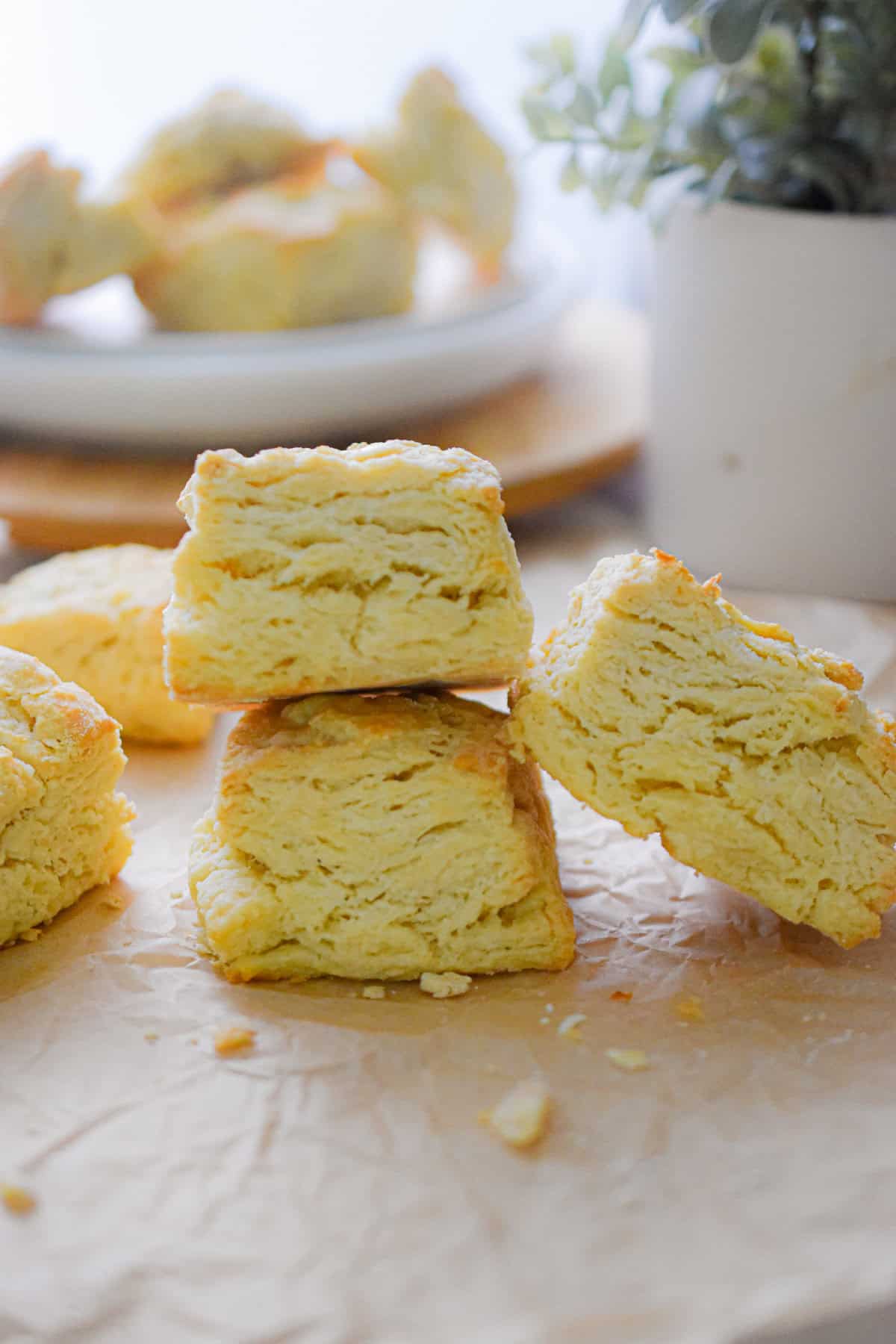 Two self rising flour biscuits are stacked with one leaning on the other and a plant in the background.