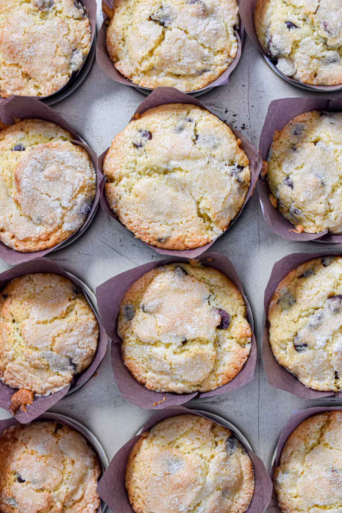 The pan of fully cooked chocolate chip muffins with self rising flour are in the pan.