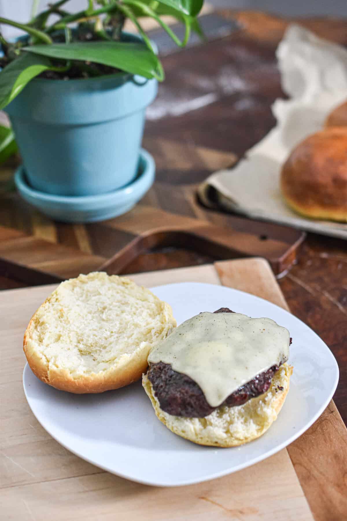 A cheeseburger is on a bun with a plant in the background.