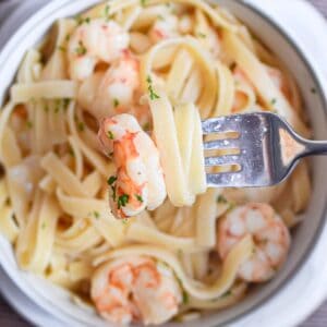 Pasta Recipes Pasta Recipes