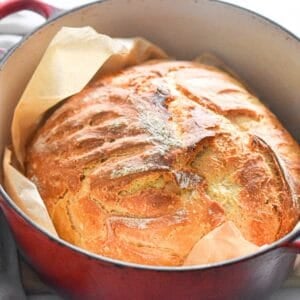 Sourdough Recipes