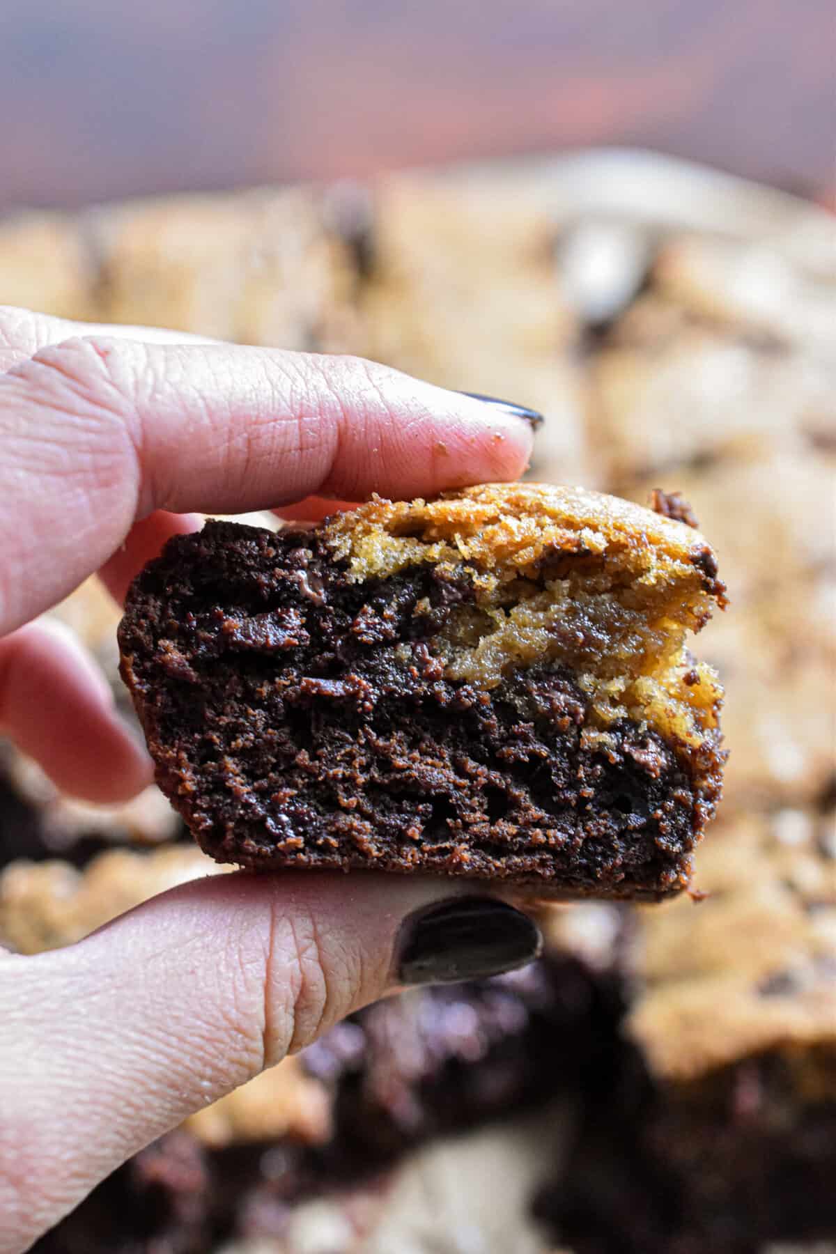 A hand is holding a sourdough brookie.